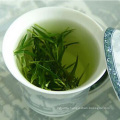 High Mountain Chinese Green Tea with Competitive Export Price